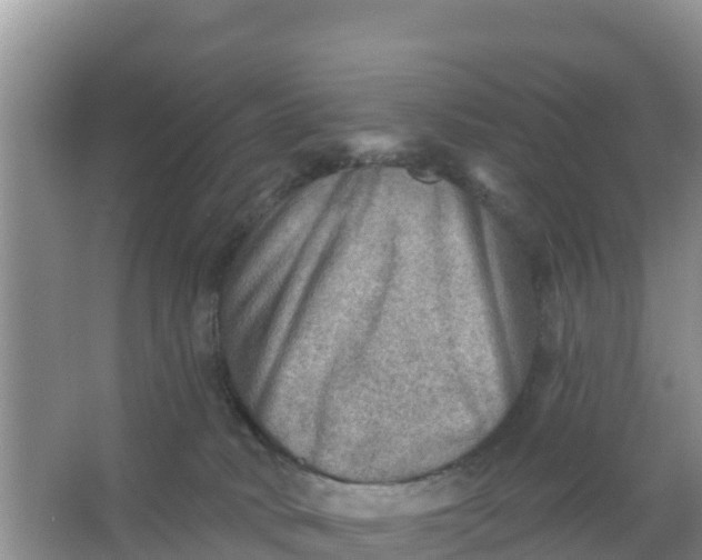 X0000066950034200604071950