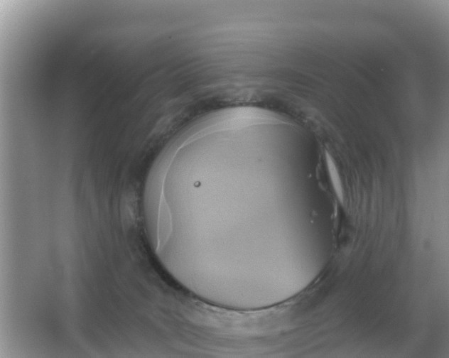 X0000066950035200604071950