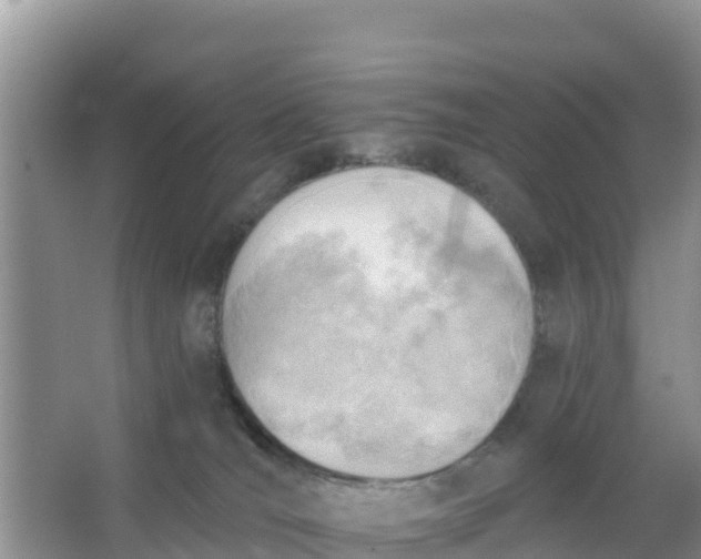 X0000066950036200604071950