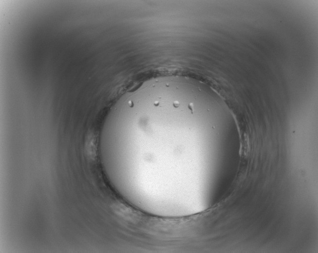 X0000066950037200604071950