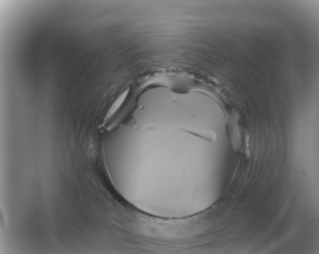 X0000066950039200604071950