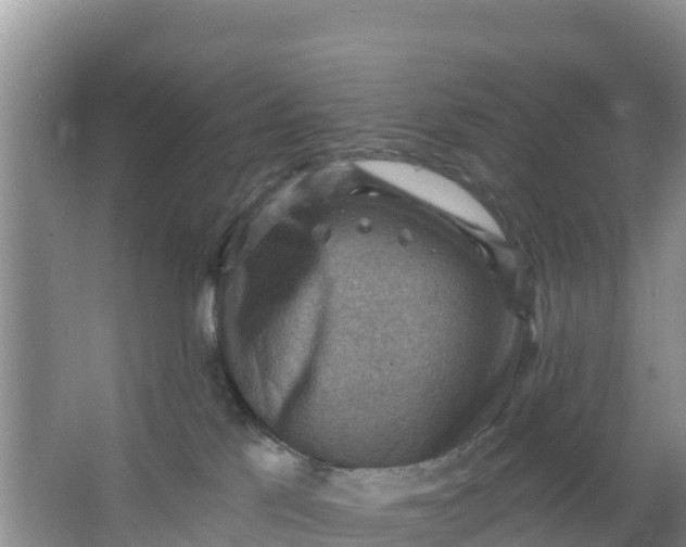 X0000066950041200604071950