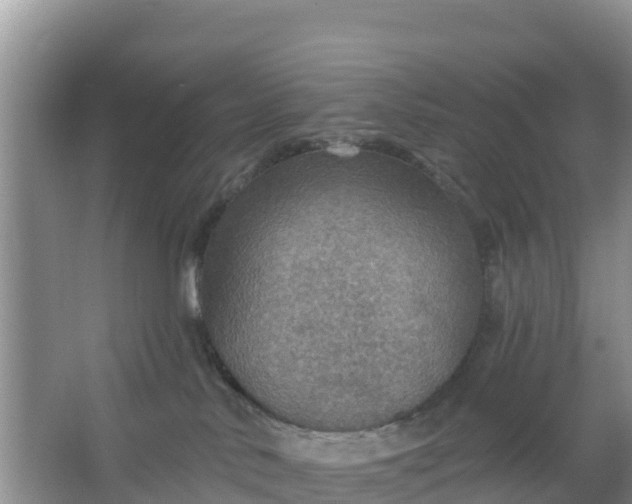 X0000066950042200604071950