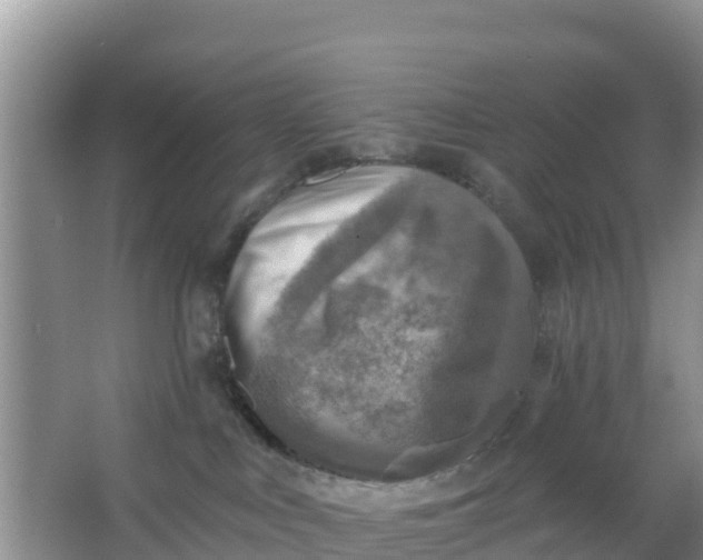 X0000066950043200604071950