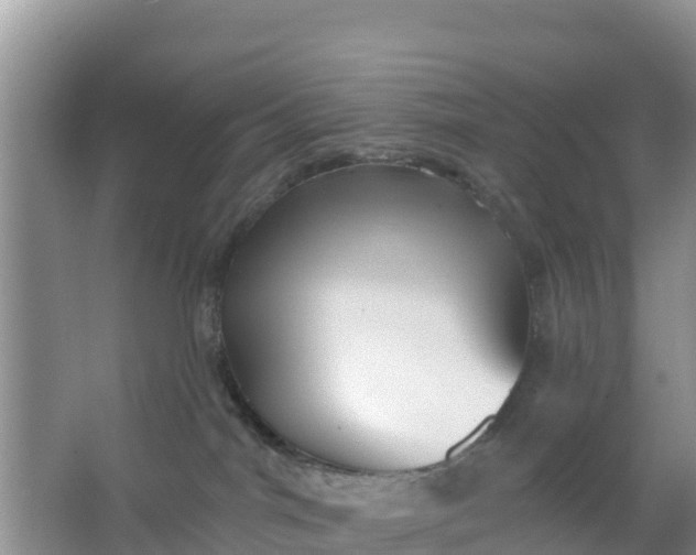 X0000066950044200604071950