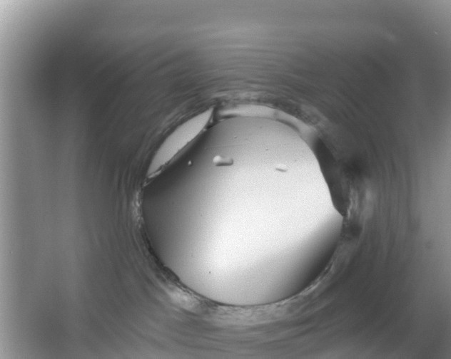 X0000066950045200604071950