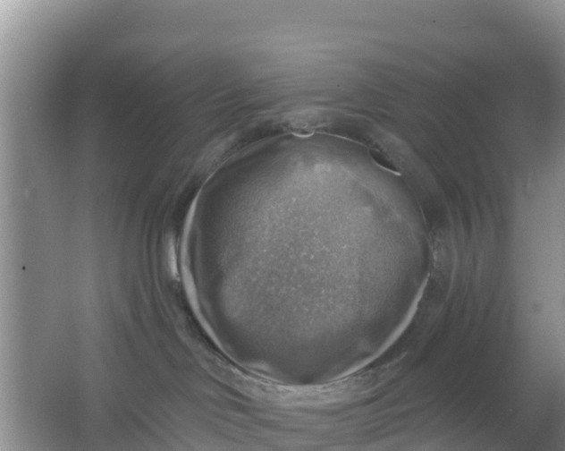 X0000066950046200604071950