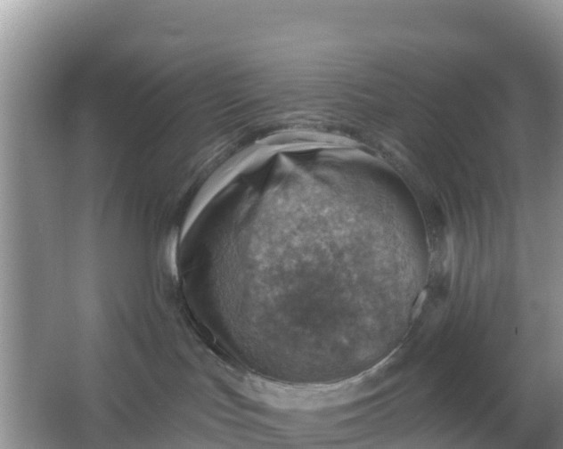 X0000066950047200604071950