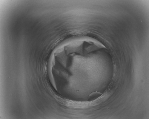 X0000066950048200604071950