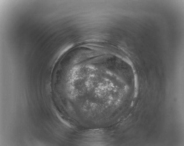 X0000066950050200604071949