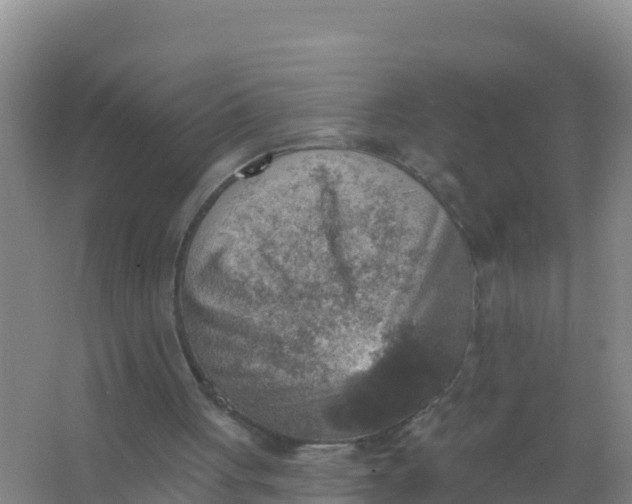 X0000066950051200604071949