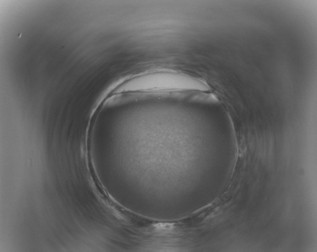 X0000066950052200604071949