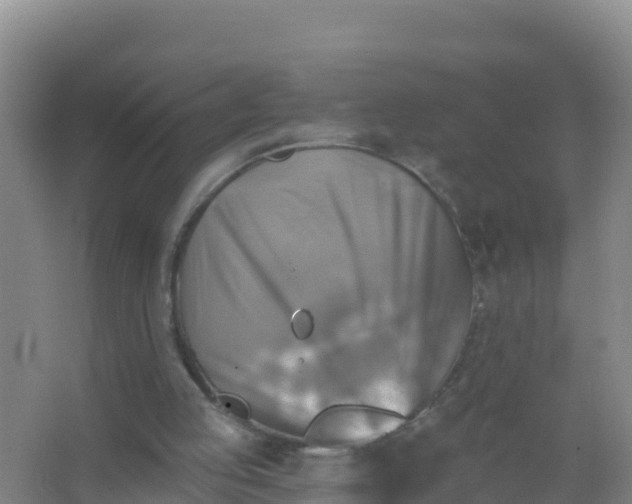 X0000066950053200604071949