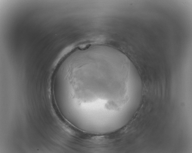 X0000066950054200604071949