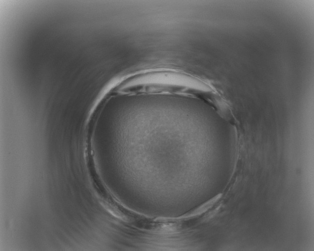 X0000066950056200604071949