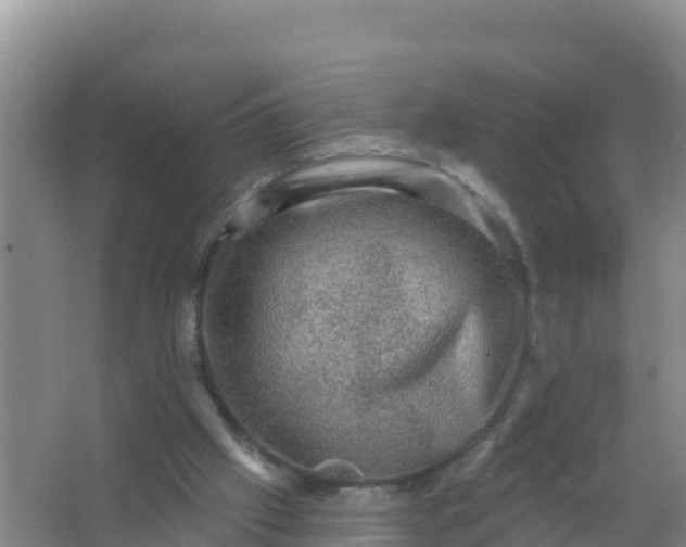 X0000066950057200604071949