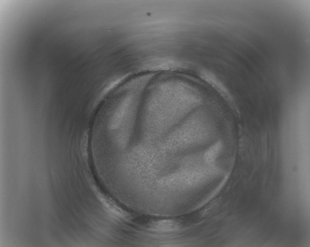 X0000066950058200604071949