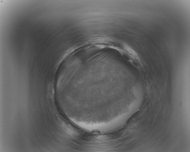 X0000066950059200604071949