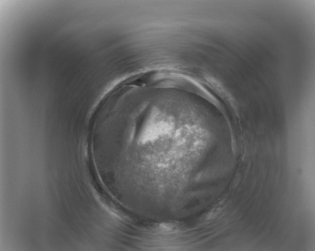 X0000066950060200604071949