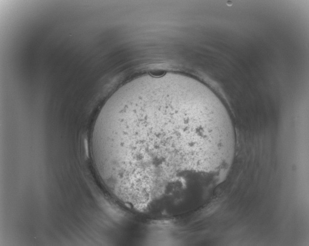 X0000066950061200604071949