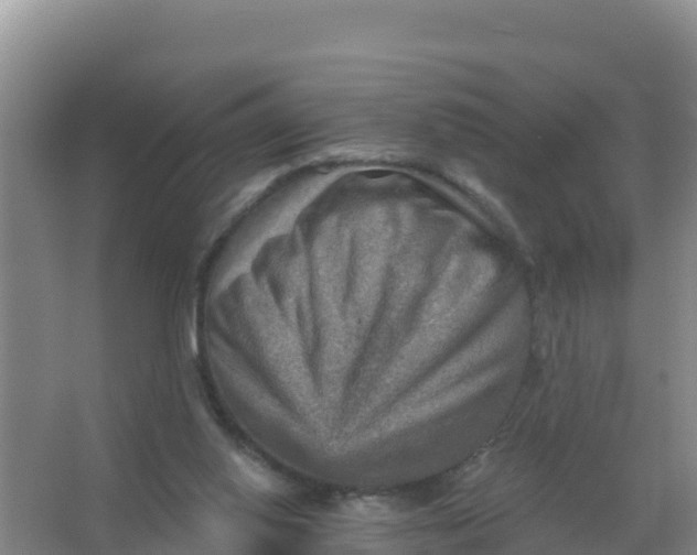 X0000066950062200604071949