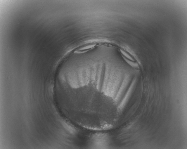 X0000066950063200604071949