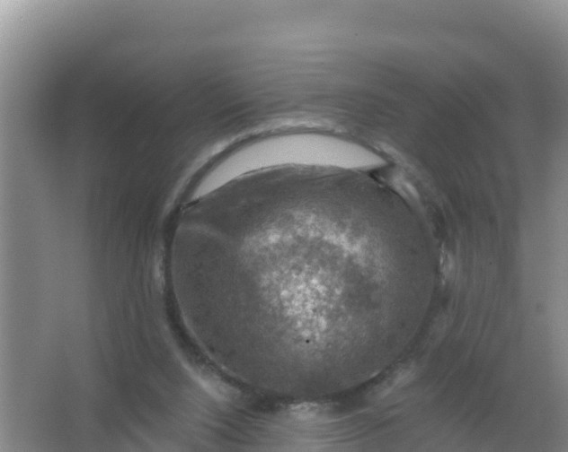 X0000066950064200604071949