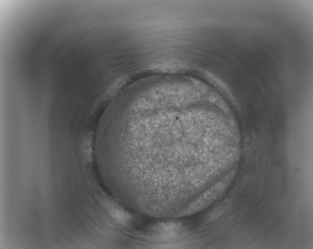 X0000066950065200604071949