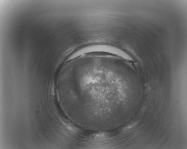 X0000066950068200604071949