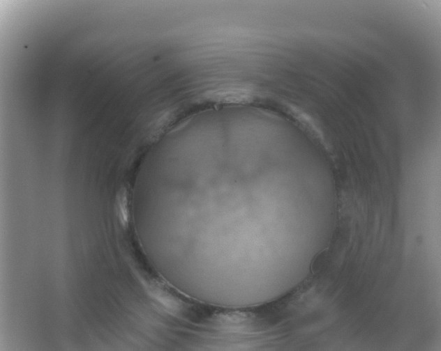 X0000066950069200604071949