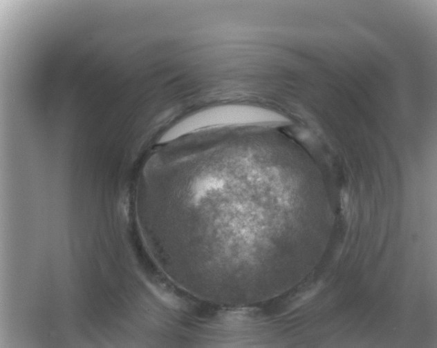 X0000066950072200604071949