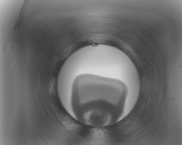 X0000066950073200604071949