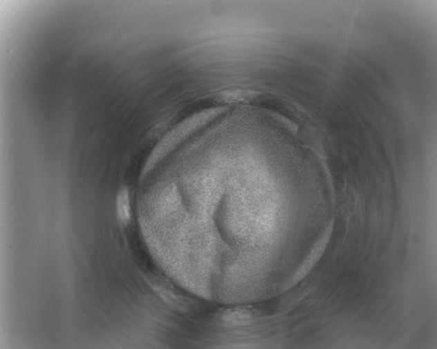 X0000066950075200604071949