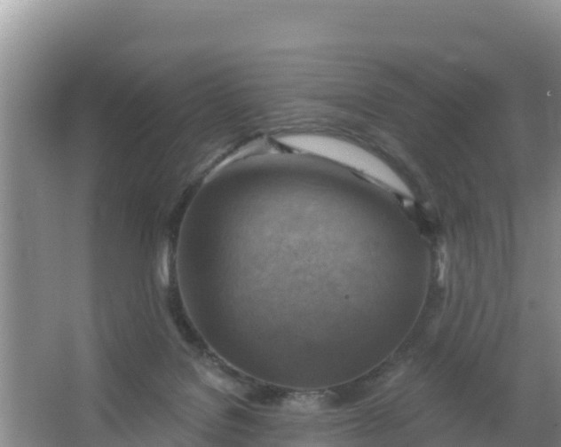 X0000066950076200604071949