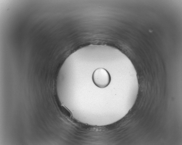 X0000066950077200604071949