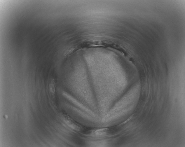 X0000066950078200604071949