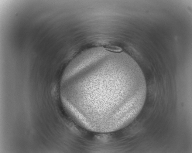 X0000066950079200604071949