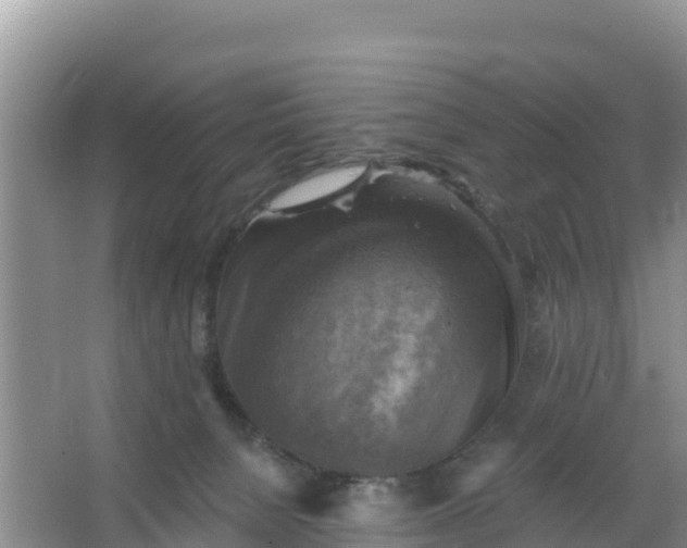 X0000066950080200604071949