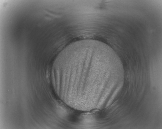 X0000066950082200604071949