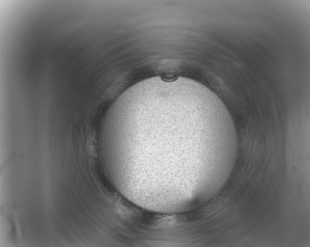 X0000066950083200604071949