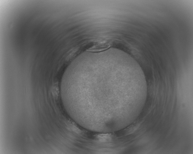 X0000066950085200604071949