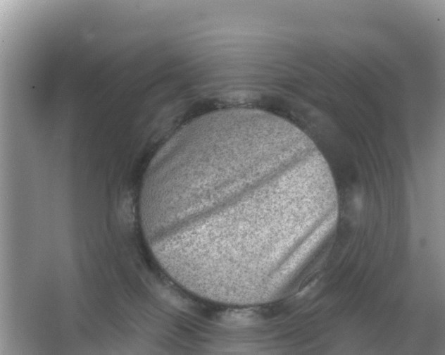 X0000066950086200604071949