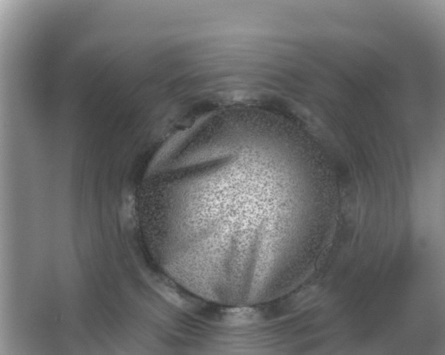 X0000066950087200604071949