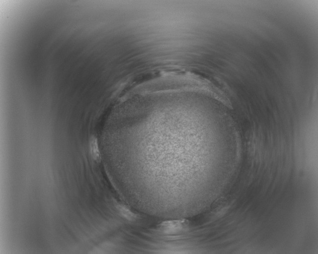 X0000066950089200604071949