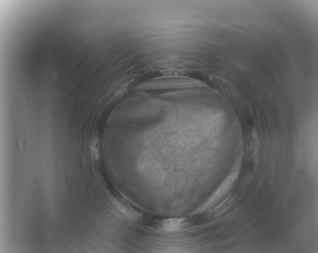 X0000066950090200604071949