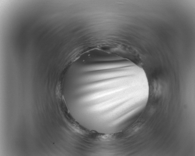 X0000066950092200604071949