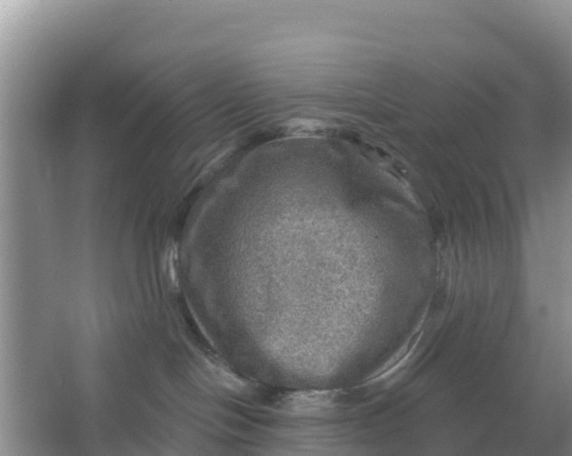 X0000066950094200604071949