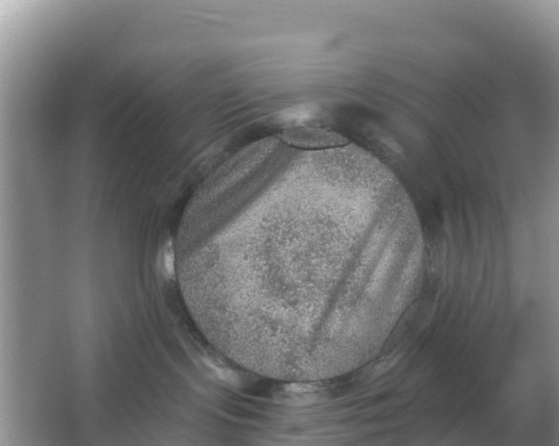 X0000066950095200604071949