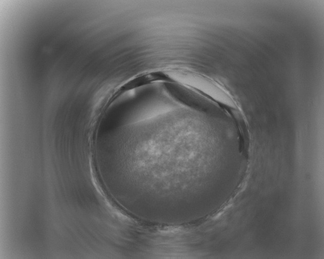 X0000066950097200604071949