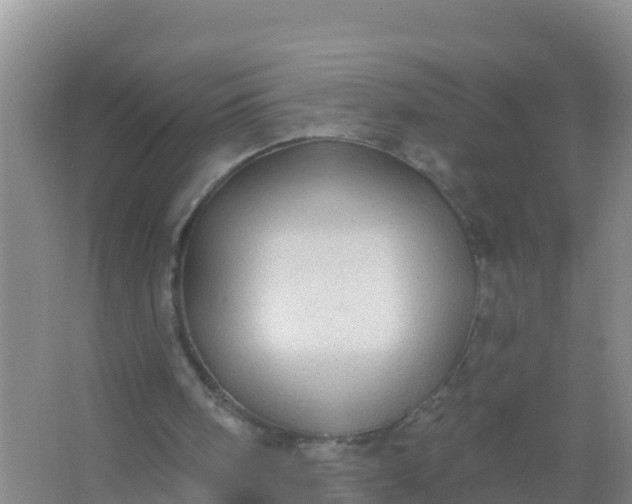 X0000066950098200604071949